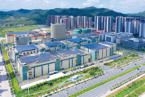 惠州出臺“1+4+N”實施方案，繪制高質量發展施工圖