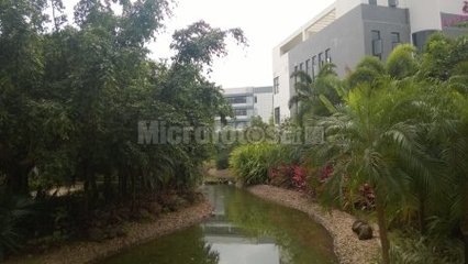 海口生態(tài)軟件 驅(qū)動海南數(shù)字經(jīng)濟發(fā)展的智慧引擎